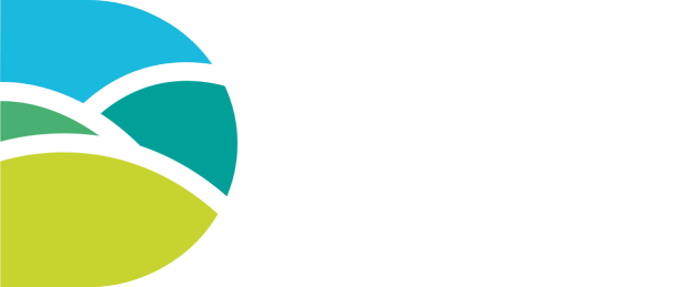 Dorset County Council logo